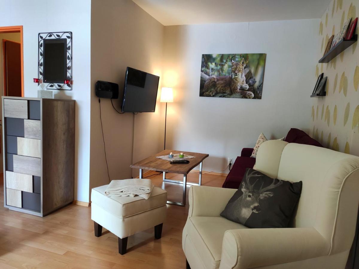 Ferienwohnung Harzluchs Mit Balkon, Netflix Und Sauna Im Haus Hohegeiß Eksteriør billede