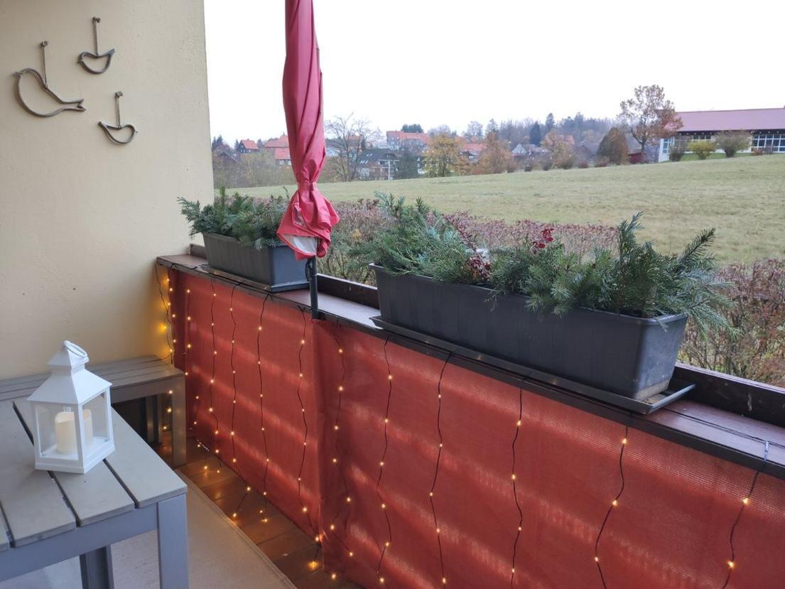 Ferienwohnung Harzluchs Mit Balkon, Netflix Und Sauna Im Haus Hohegeiß Eksteriør billede