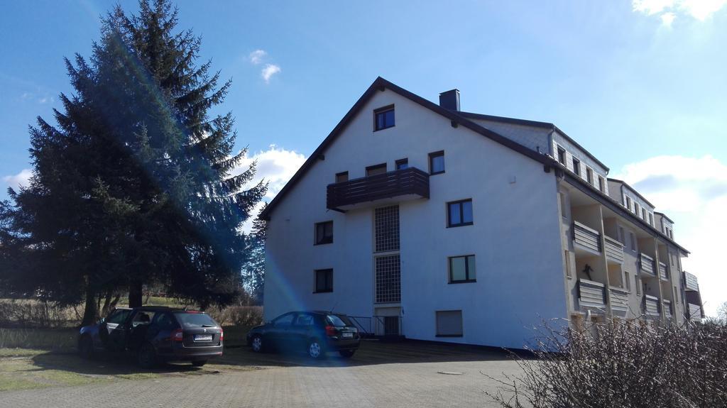 Ferienwohnung Harzluchs Mit Balkon, Netflix Und Sauna Im Haus Hohegeiß Eksteriør billede