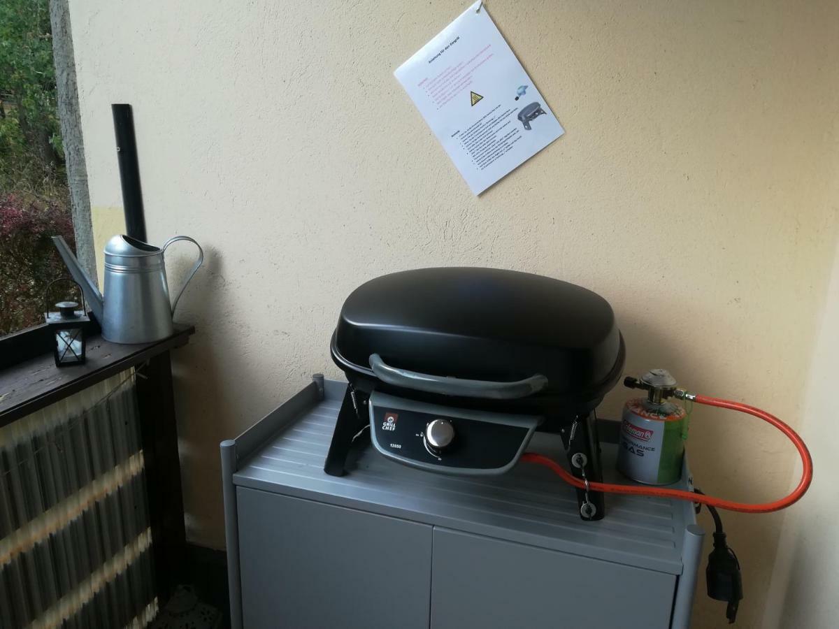 Ferienwohnung Harzluchs Mit Balkon, Netflix Und Sauna Im Haus Hohegeiß Eksteriør billede